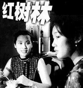 红树林