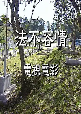 法不容情