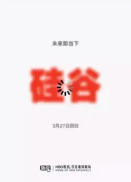 硅谷5