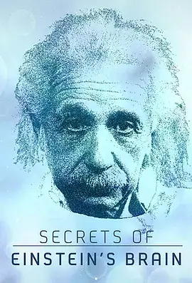 爱因斯坦大脑的秘密