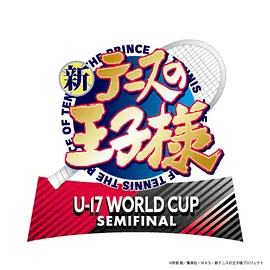  U-17 WORLD CUP