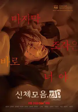 身体集合