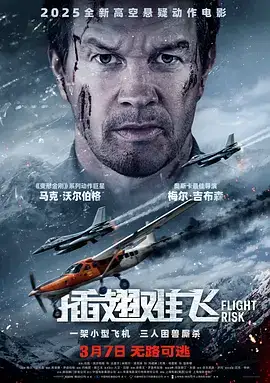 插翅难飞(2025)
