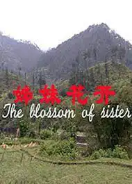 姊妹花开