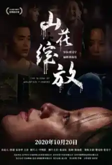 山花绽放
